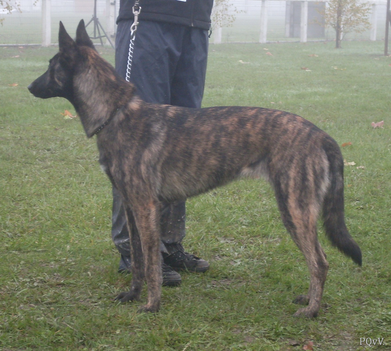  Gyn de la Cité des Maraudeurs